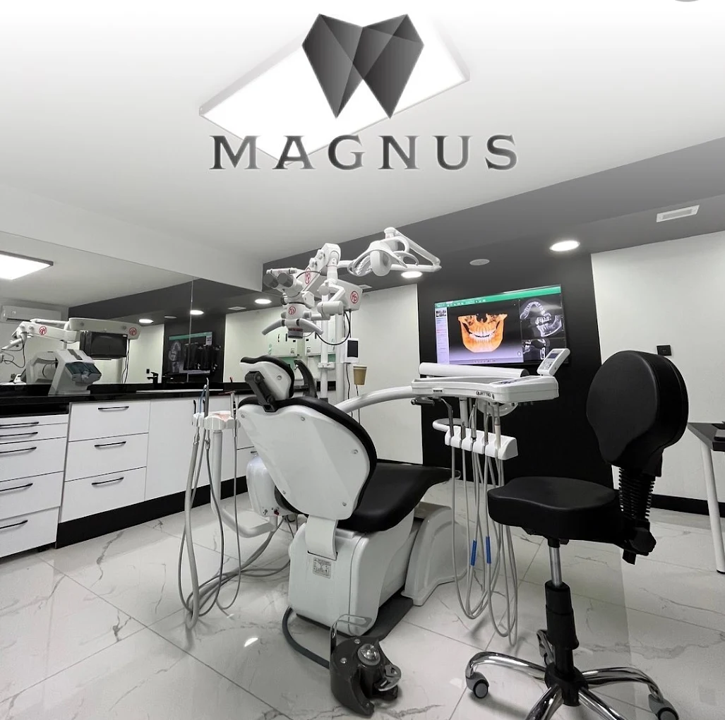 Magnus Ağız ve Diş Sağlığı Merkezi slider